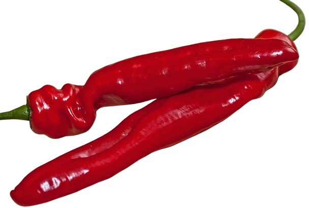 58
